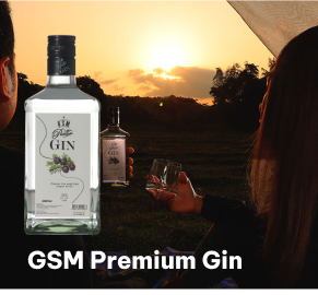 gsm premium